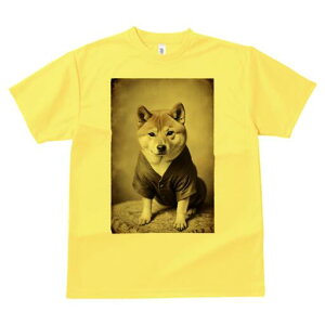 Č TVc fB[X t@  t  vg JWA 킢 lԗp h ̃fUC ʔ g Č Be[W 