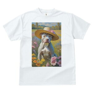 AJsbgueA TVc fB[X t@  t  vg JWA 킢 lԗp h ̃fUC ʔ Xq AJsbgueA  Ԕ 