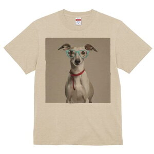 C^AO[nEh TVc Y LbY t@  t  vg JWA 킢 lԗp h ̃fUC ʔ Kl C^AO[nEh