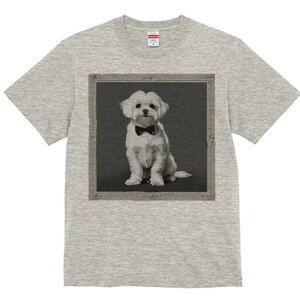 }`[Y TVc fB[X t@  t  vg JWA 킢 lԗp h ̃fUC ʔ lN^C }`[Y z