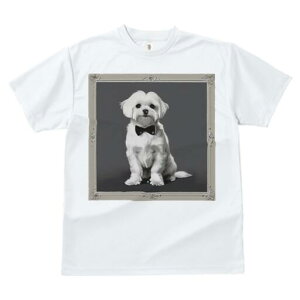 }`[Y TVc fB[X t@  t  vg JWA 킢 lԗp h ̃fUC ʔ lN^C }`[Y z