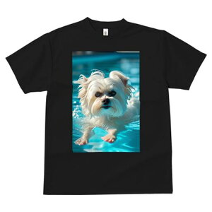 }`[Y TVc fB[X t@  t  vg JWA 킢 lԗp h ̃fUC ʔ  }`[Y v[