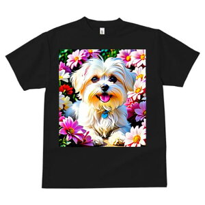 }`[Y TVc fB[X t@  t  vg JWA 킢 lԗp h ̃fUC ʔ  }`[Y fCW[ n[g