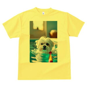 }`[Y TVc fB[X t@  t  vg JWA 킢 lԗp h ̃fUC ʔ  }`[Y v[