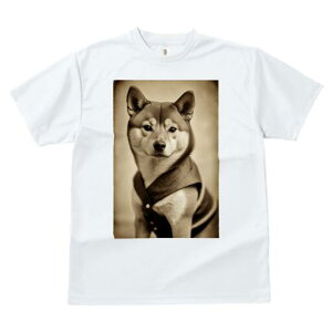 Č TVc fB[X t@  t  vg JWA 킢 lԗp h ̃fUC ʔ g Č Be[W 