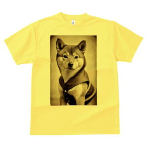 Č TVc fB[X t@  t  vg JWA 킢 lԗp h ̃fUC ʔ g Č Be[W 