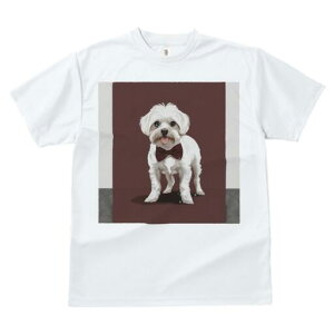 }`[Y TVc fB[X t@  t  vg JWA 킢 lԗp h ̃fUC ʔ lN^C }`[Y