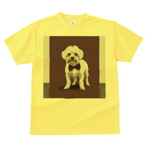 }`[Y TVc fB[X t@  t  vg JWA 킢 lԗp h ̃fUC ʔ lN^C }`[Y