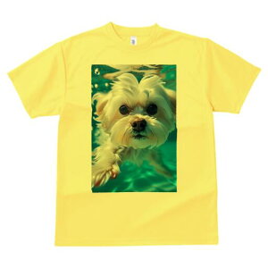 }`[Y TVc fB[X t@  t  vg JWA 킢 lԗp h ̃fUC ʔ  }`[Y v[