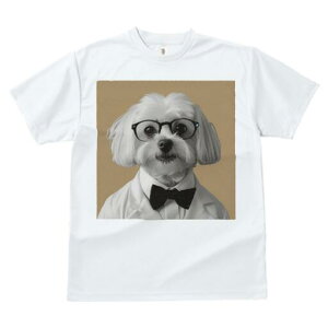 }`[Y TVc fB[X t@  t  vg JWA 킢 lԗp h ̃fUC ʔ Kl }`[Y lN^C Vc