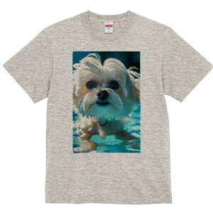 }`[Y TVc fB[X t@  t  vg JWA 킢 lԗp h ̃fUC ʔ  }`[Y v[