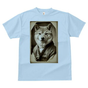 Č TVc fB[X t@  t  vg JWA 킢 lԗp h ̃fUC ʔ ё Č 