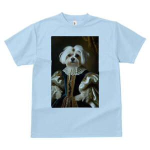 }`[Y TVc fB[X t@  t  vg JWA 킢 lԗp h ̃fUC ʔ hX }`[Y  { ߑ