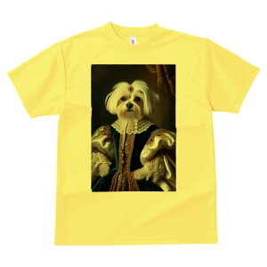 }`[Y TVc fB[X t@  t  vg JWA 킢 lԗp h ̃fUC ʔ hX }`[Y  { ߑ