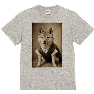 Č TVc fB[X t@  t  vg JWA 킢 lԗp h ̃fUC ʔ xXg Č Vc