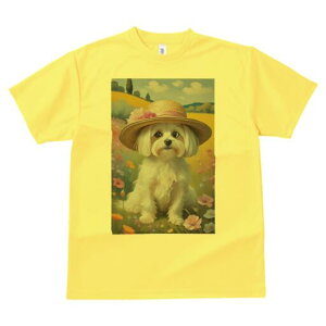 }`[Y TVc fB[X t@  t  vg JWA 킢 lԗp h ̃fUC ʔ Xq }`[Y  i