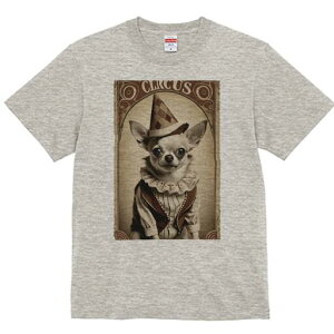 ` TVc fB[X t@  t  vg JWA 킢 lԗp h ̃fUC ʔ T[JX ` sG Xq ߑ