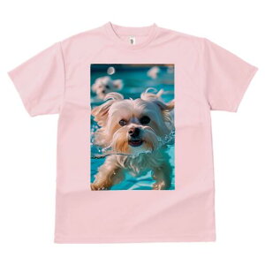 }`[Y TVc fB[X t@  t  vg JWA 킢 lԗp h ̃fUC ʔ  }`[Y v[