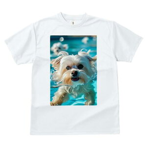 }`[Y TVc fB[X t@  t  vg JWA 킢 lԗp h ̃fUC ʔ  }`[Y v[