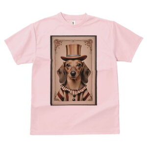 _bNXth TVc fB[X t@  t  vg JWA 킢 lԗp h ̃fUC ʔ Xq _bNXth T[JX ߑ t[