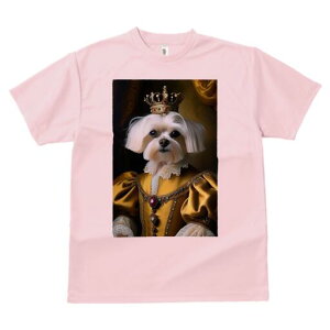 }`[Y TVc fB[X t@  t  vg JWA 킢 lԗp h ̃fUC ʔ  }`[Y hX [X