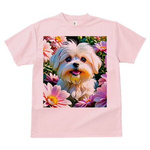 }`[Y TVc fB[X t@  t  vg JWA 킢 lԗp h ̃fUC ʔ  }`[Y sN̉ fCW[