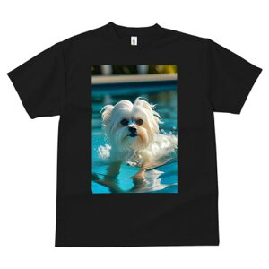 }`[Y TVc fB[X t@  t  vg JWA 킢 lԗp h ̃fUC ʔ v[ }`[Y 