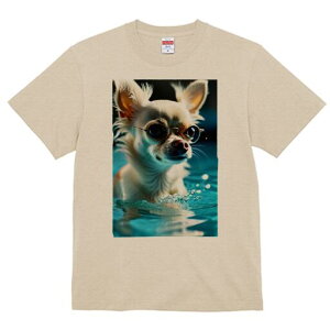 ` TVc fB[X t@  t  vg JWA 킢 lԗp h ̃fUC ʔ  ` Kl