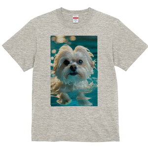 }`[Y,V[Y[ TVc fB[X t@  t  vg JWA 킢 lԗp h ̃fUC ʔ  }`[Y,V[Y[ v[