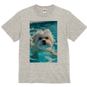 }`[Y TVc fB[X t@  t  vg JWA 킢 lԗp h ̃fUC ʔ  }`[Y v[