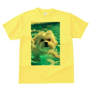 }`[Y TVc fB[X t@  t  vg JWA 킢 lԗp h ̃fUC ʔ  }`[Y v[