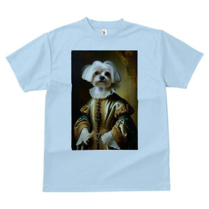 }`[Y TVc fB[X t@  t  vg JWA 킢 lԗp h ̃fUC ʔ ё }`[Y lTX hX 