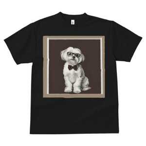 }`[Y TVc fB[X t@  t  vg JWA 킢 lԗp h ̃fUC ʔ lN^C }`[Y ዾ