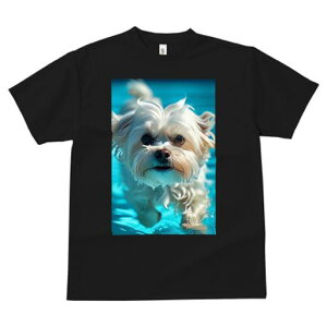 }`[Y TVc fB[X t@  t  vg JWA 킢 lԗp h ̃fUC ʔ  }`[Y v[