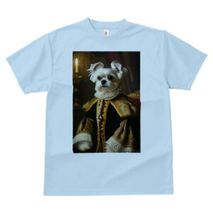 }`[Y TVc fB[X t@  t  vg JWA 킢 lԗp h ̃fUC ʔ ё }`[Y lTX  p[