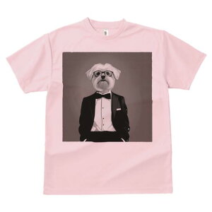 }`[Y TVc fB[X t@  t  vg JWA 킢 lԗp h ̃fUC ʔ ^LV[h }`[Y lN^C ዾ