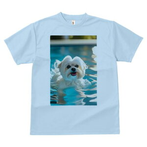 }`[Y TVc fB[X t@  t  vg JWA 킢 lԗp h ̃fUC ʔ v[ }`[Y 