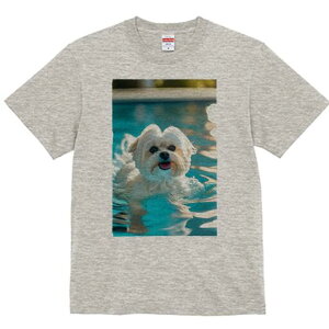 }`[Y TVc fB[X t@  t  vg JWA 킢 lԗp h ̃fUC ʔ v[ }`[Y 