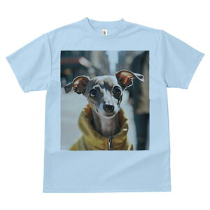 C^AO[nEh TVc fB[X t@  t  vg JWA 킢 lԗp h ̃fUC ʔ WPbg C^AO[nEh  