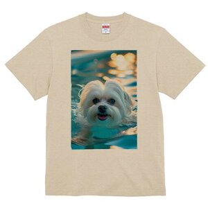 }`[Y TVc fB[X t@  t  vg JWA 킢 lԗp h ̃fUC ʔ  }`[Y v[