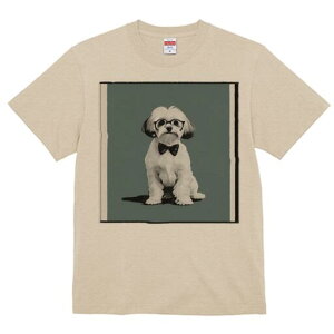 }`[Y,V[Y[ TVc Y LbY t@  t  vg JWA 킢 lԗp h ̃fUC ʔ Kl }`[Y,V[Y[ lN^C