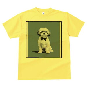 }`[Y,V[Y[ TVc Y LbY t@  t  vg JWA 킢 lԗp h ̃fUC ʔ Kl }`[Y,V[Y[ lN^C