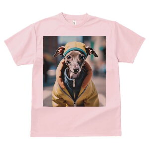 C^AO[nEh TVc fB[X t@  t  vg JWA 킢 lԗp h ̃fUC ʔ WPbg C^AO[nEh Xq 