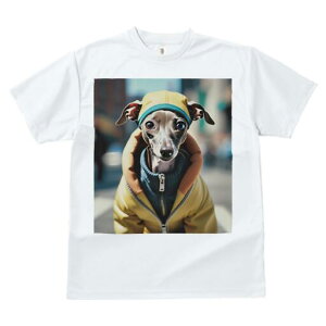 C^AO[nEh TVc fB[X t@  t  vg JWA 킢 lԗp h ̃fUC ʔ WPbg C^AO[nEh Xq 