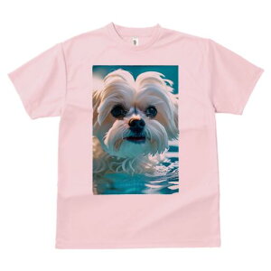 }`[Y TVc fB[X t@  t  vg JWA 킢 lԗp h ̃fUC ʔ  }`[Y v[