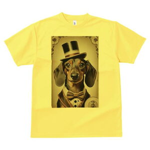 _bNXth TVc fB[X t@  t  vg JWA 킢 lԗp h ̃fUC ʔ Xq _bNXth lN^C X[c