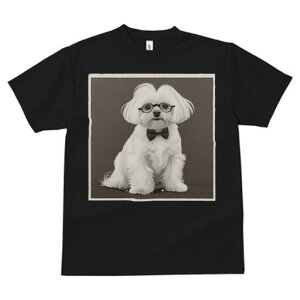 }`[Y TVc fB[X t@  t  vg JWA 킢 lԗp h ̃fUC ʔ Kl }`[Y lN^C