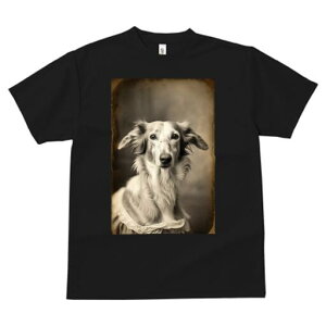 {]C TVc fB[X t@  t  vg JWA 킢 lԗp h ̃fUC ʔ AeB[N {]C [X