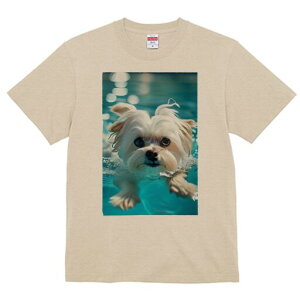 }`[Y TVc fB[X t@  t  vg JWA 킢 lԗp h ̃fUC ʔ  }`[Y v[