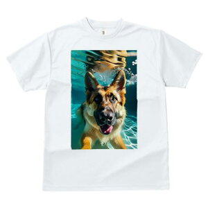 W[}VFp[h TVc fB[X t@  t  vg JWA 킢 lԗp h ̃fUC ʔ  W[}VFp[h  v[